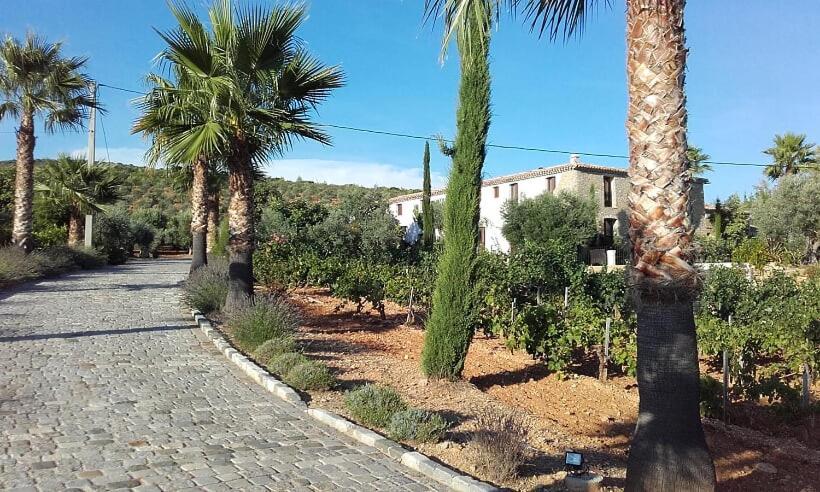 La Bastide De L'Oliveraie Le Castellet  Exteriér fotografie